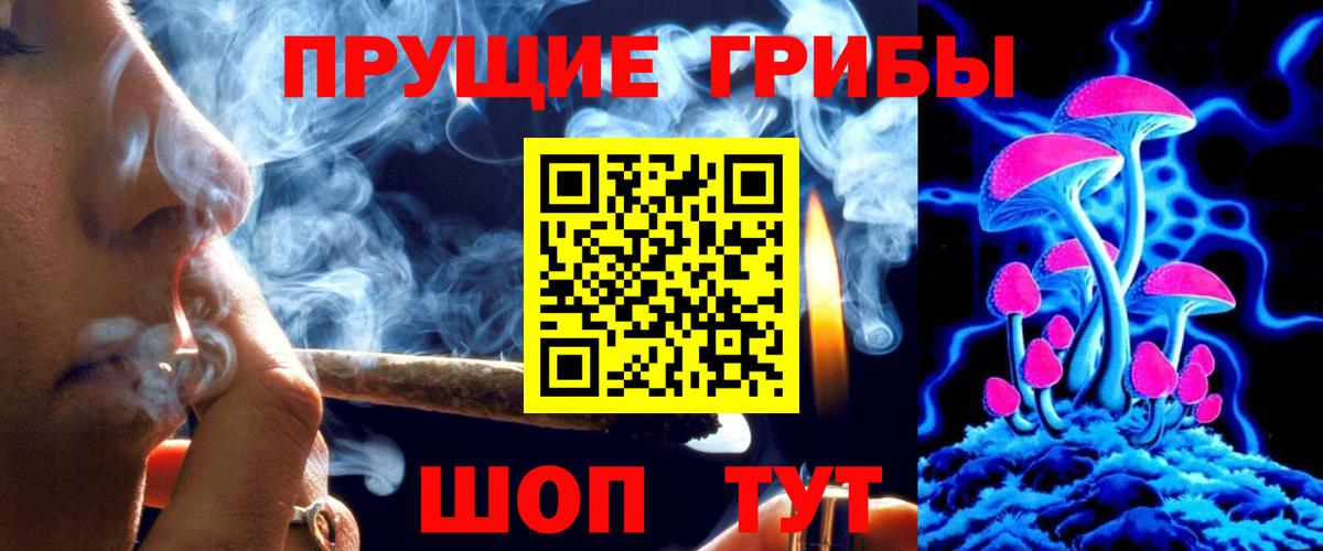 Псилоцибиновые грибы прущие грибы Брянск