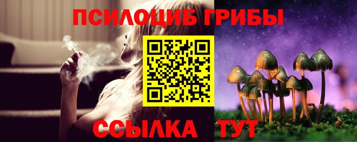 Псилоцибиновые грибы прущие грибы  наркотики  Брянск  Вход с VPN 